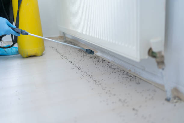 Best Pest Prevention Services  in Espaola, NM